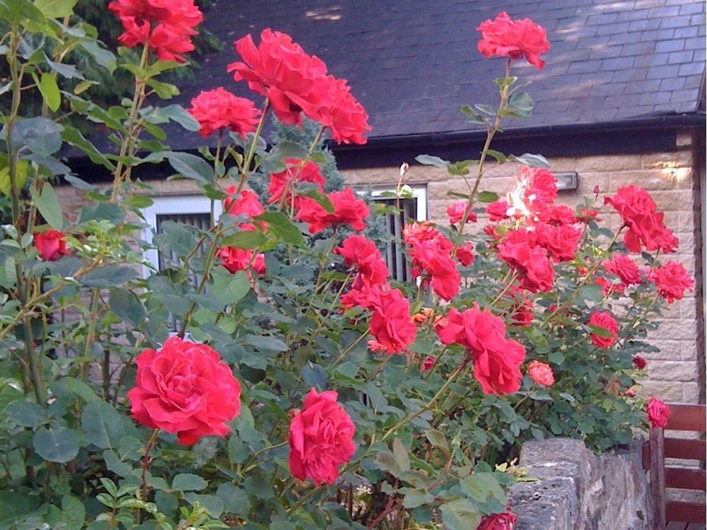 Ellen House Bed And Breakfast Matlock  Exterior foto